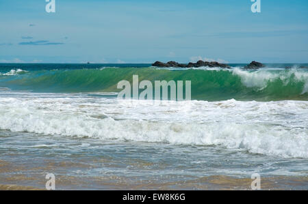 Schöne Wellen am Paradiesstrand im südlichen Provinz, Sri Lanka, Asien im Dezember. Stockfoto