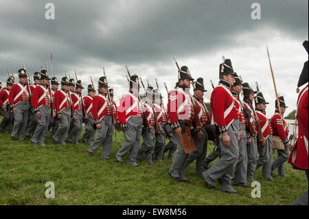 Löwen-Hügel, Waterloo, Belgien. 20. Juni 2015. Wellingtons massive Nachstellung der alliierten Armee montiert auf dem Schlachtfeld für eine Trauerfeier Morgen. Bildnachweis: Malcolm Park Leitartikel/Alamy Live-Nachrichten Stockfoto