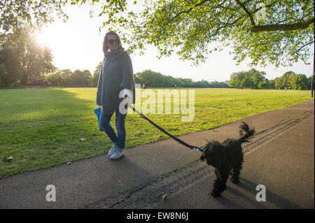 Eine Frau geht ihren Hund an einem Sommertag auf Wandsworth Common in London Stockfoto