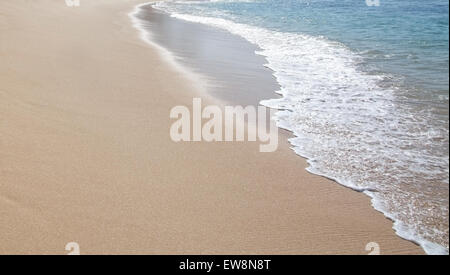 Grüne Welle mit weißen Seafoam Closeup auf sandigen Paradiesstrand, Sri Lanka, Asien. Stockfoto