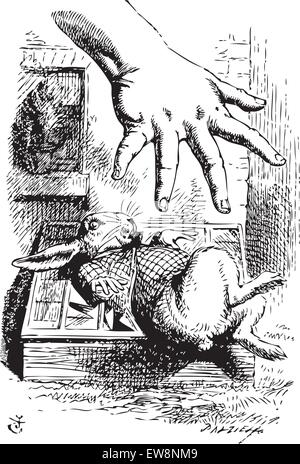 Alice im Wunderland. Alice streckt ihre Hand und versucht das weiße Kaninchen zu ergreifen. Alice's Adventures in Wonderland. Abbildung kann von John Tenniel, im Jahre 1865 veröffentlicht. Stock Vektor