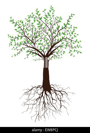 Reich verzierte elegante Retro abstrakt floral Tree Design, braun Baum mit Wurzeln und grüne Blätter auf weißem Hintergrund. Vector Illustration. Stock Vektor