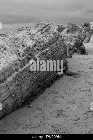 Felsen am Strand bei Ebbe. In schwarz und weiß. Stockfoto