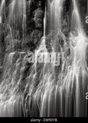 Panther Creek Falls. Washington Stockfoto