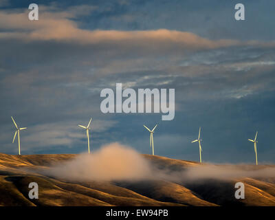 Windmühlen in der Nähe der Columbia River Gorge, Oregon Stockfoto