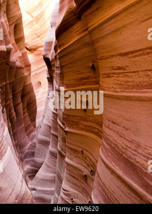 Blick auf die Seitenwand des Zebra Slot Canyon entlang Harris Wash, Grand Staircase-Escalante National Monument in der Nähe von Escalante, Utah. Stockfoto