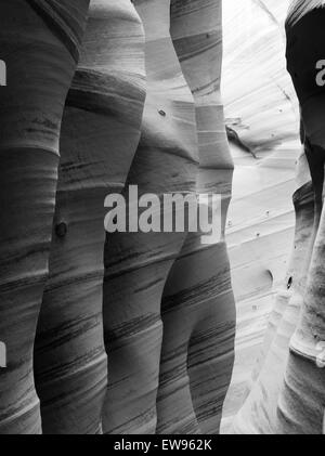 Blick auf die Seitenwand des Zebra Slot Canyon entlang Harris Wash, Grand Staircase-Escalante National Monument in der Nähe von Escalante, Utah. Stockfoto