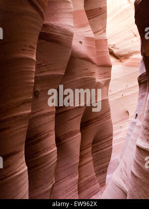 Blick auf die Seitenwand des Zebra Slot Canyon entlang Harris Wash, Grand Staircase-Escalante National Monument in der Nähe von Escalante, Utah. Stockfoto