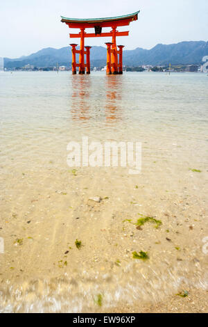 Eine der berühmtesten japanischen Sehenswürdigkeiten, der Große Torii auf der Miyajima-Insel, ist eine beliebte Touristenattraktion. Umgeben von einem ruhigen Meer mit Strand vor dem Hotel. Stockfoto