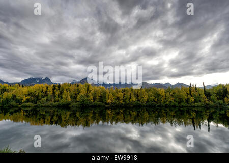 Aspen Wald reflektiert ein innen Alaska See - mit dramatische Wolken im Hintergrund von einem herannahenden Sturm Stockfoto