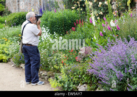 Man nimmt Bilder der ummauerten Garten Blume Stockfoto