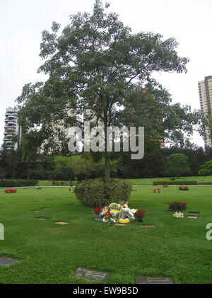 Dieses Bild ist eine Hommage an Ayrton Senna, den legendären brasilianischen Formel-1-Fahrer, der für seine außergewöhnlichen Fähigkeiten und Erfolge auf der Rennstrecke in Erinnerung ist. Senna ist eine Ikone der Motorsportgeschichte. Stockfoto