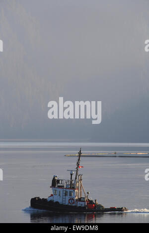 Schlepper im Hafen von Prince Rupert, Britisch-Kolumbien Stockfoto