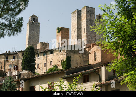 Vögel fliegen unter die Türme von San Gimignano, einer berühmten mittelalterlichen Hügel-Stadt mit alten Türmen, in der Toskana. Italien. Juni.  © P Stockfoto