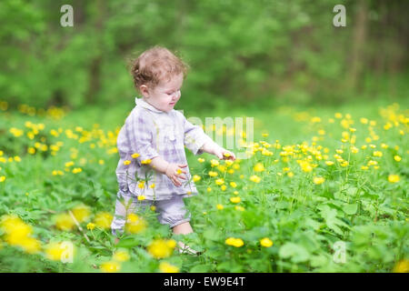 Kleines Mädchen gehen unter den gelben Blüten Stockfoto