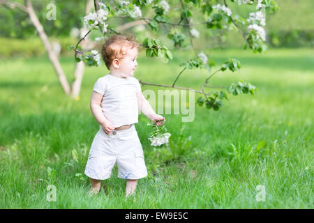 Kleines Mädchen in einem Apfel Baumgarten Wandern Stockfoto