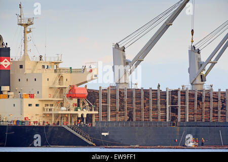 "Diamond Ocean" Frachter laden roh Protokolle im Hafen von Nanaimo, Vancouver Island, Britisch-Kolumbien Stockfoto