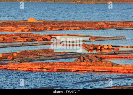 Log-Ausleger an der Duke Point Gegend, in der Nähe von Nanaimo Vancouver Island in British Columbia Stockfoto