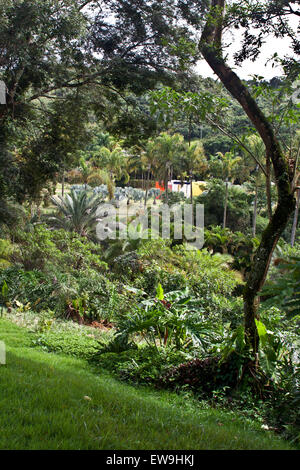 Inhotim, zeitgenössische Kunst, botanische Gärten, Brumhadinho, Minas Gerais, Brasilien, Gartenweg in Richtung der Arbeit Künstler Helio Oitici Stockfoto