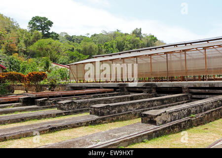 Gebäude am Kakao-Plantage in Grenada Stockfoto