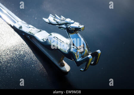 Haube Dekoration (Hirsch) von einem sowjetischen executive Auto Wolga GAZ M21. Stockfoto