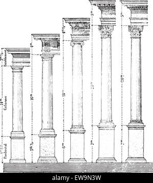 Fünf Ordnungen der Architektur, graviert Vintage Illustration. Wörter und Sachen - Larive und Fleury - 1895. Stock Vektor