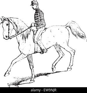 Die Passage (Reitpferd) graviert Vintage Illustration. Wörter und Sachen - Larive und Fleury - 1895. Stock Vektor