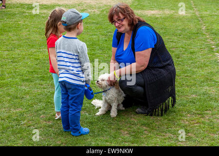 Hundeausstellung, Maresfield Dorffest, Maresfield, Sussex, UK Stockfoto