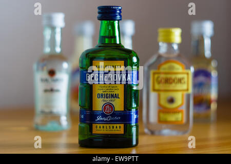 BERLIN - 3. Juni 2015: Eine Flasche Becherovka. Becherovka ist ein Kräuter bitter, oft betrunken als Verdauungshilfe, das produziert wird Stockfoto