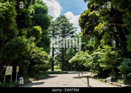 Komaba Park, Meguro-Ku, Tokyo, Japan Stockfoto