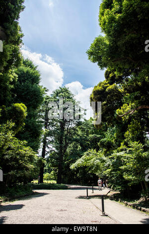 Komaba Park, Meguro-Ku, Tokyo, Japan Stockfoto