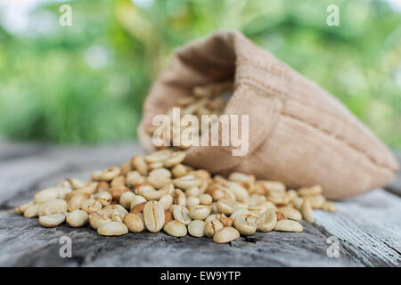 Rohe Kaffeebohnen auf grünem Hintergrund jedoch unscharf. Fokus-Kaffeebohnen-front Stockfoto