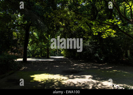 Komaba Park, Meguro-Ku, Tokyo, Japan Stockfoto