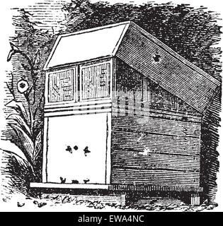 Bienenstock oder Bienenstöcke, Vintage Gravur. Alten gravierte Darstellung der Bienenstock. Stock Vektor