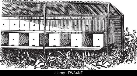 Bienenstand oder Biene Hof, Vintage-Gravur. Alten graviert Illustration des überdachten Bienenhaus. Stock Vektor