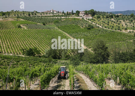 Typische Tuscany Szene der Weinberge, "Radda in Chianti", eine schöne kleine Stadt und eine berühmte Region bekannt für seinen Wein Chianti in der Toskana. Italien. Juni. Stockfoto