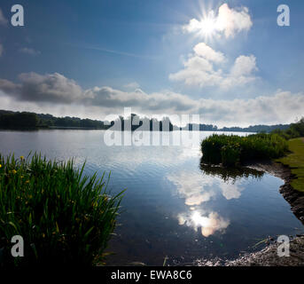 Whitlingham Country Park Stockfoto