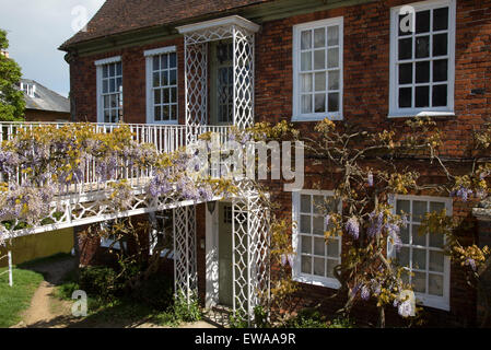 Glyzinien Pflanze blüht im Garten des historischen Privathaus, Hungerford, Berkshire, England, UK Stockfoto