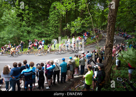 Aviva Frauen Tour von Großbritannien 2015 Klettern Tom Hill, Aldbury, Hertfordshire, Großbritannien. Von einer begeisterten Menschenmenge beobachtet Stockfoto