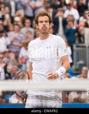 London, UK. 21. Juni 2015. Queens Aegon Championship Tennis. Eine Rauchwolke die Wangen vom Sieger Andy Murrary (GBR) nach dem Spiel. Bildnachweis: Aktion Plus Sport/Alamy Live-Nachrichten Stockfoto