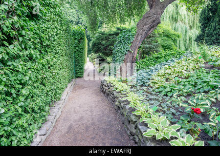 Grüne geheimnisvollen botanischen Garten im Frühjahr Wroclaw Stockfoto