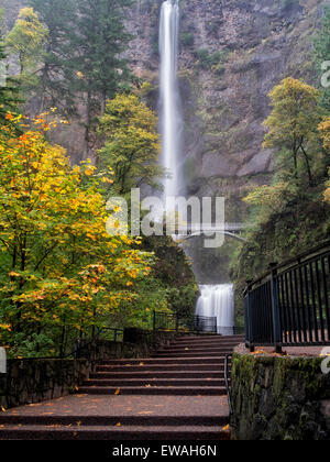 Multnomah Falls. mit Bahn und Herbst Farbe. Columbia River Gorge National Scenic Bereich, Oregon Stockfoto