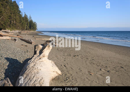 China Beach, Juan de Fuca Provincial Park, Vancouver Island, BC Stockfoto