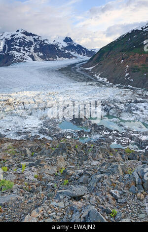 Blick auf Lachs Gletscher und Summit Lake, Stewart Bereich, Britisch-Kolumbien Stockfoto