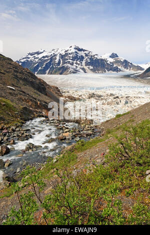 Lachs-Gletscher mit Bach fließt in Summit Lake, Stewart, Britisch-Kolumbien Stockfoto