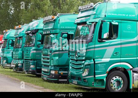 Grüne LKW geparkt nebeneinander auf einem Grünstreifen Stockfoto