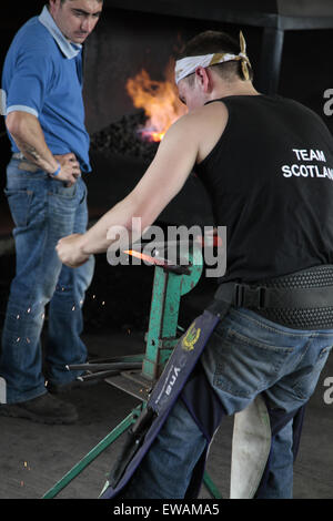 Edinburgh, UK. 21. Juni 2015. Royal Highland Showground Inglston Edinburgh.  Finaltag Hufschmied Veranstaltungen. Hufschmied-Wettbewerb am Finaltag. Bildnachweis: ALAN OLIVER/Alamy Live-Nachrichten Stockfoto