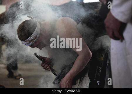 Edinburgh, UK. 21. Juni 2015. Royal Highland Showground Inglston Edinburgh.  Finaltag Hufschmied Veranstaltungen. Hufschmied-Wettbewerb am Finaltag. Bildnachweis: ALAN OLIVER/Alamy Live-Nachrichten Stockfoto