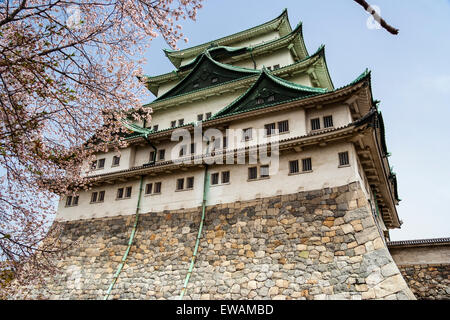 Die 1959 neu Bau borogata Stil halten der japanischen Nagoya Castle. Weiße Wände und Dachbegrünung. Frühling mit blauem Himmel und Kirschblüten. Stockfoto