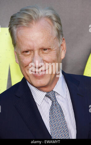 James Woods an der Los-Angeles-premiere von "Wilden" im Mann Village Theatre in Westwood am 25. Juni 2012 statt. Stockfoto